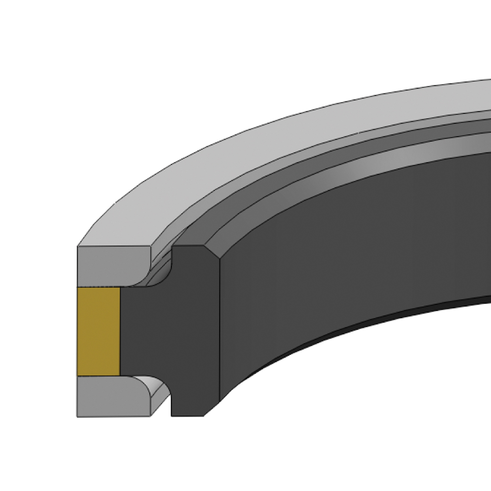 CTC Capped Piston T-Seals